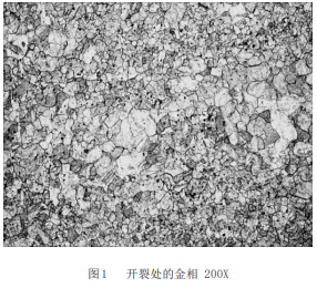 澳门跑狗论坛